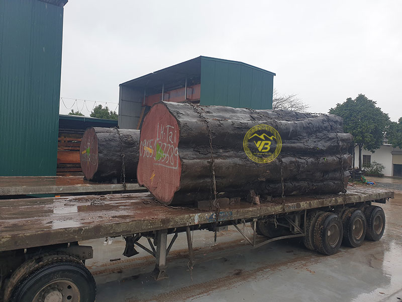 Ưu nhược điểm của chất liệu gỗ tự nhiên 1