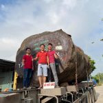 Gỗ Việt Bắc – Doanh nghiệp gỗ hàng đầu Việt Nam