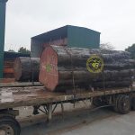 Ưu nhược điểm của chất liệu gỗ tự nhiên