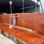 Ưu nhược điểm gỗ cẩm lai – Cách nhận biết gỗ cẩm chuẩn